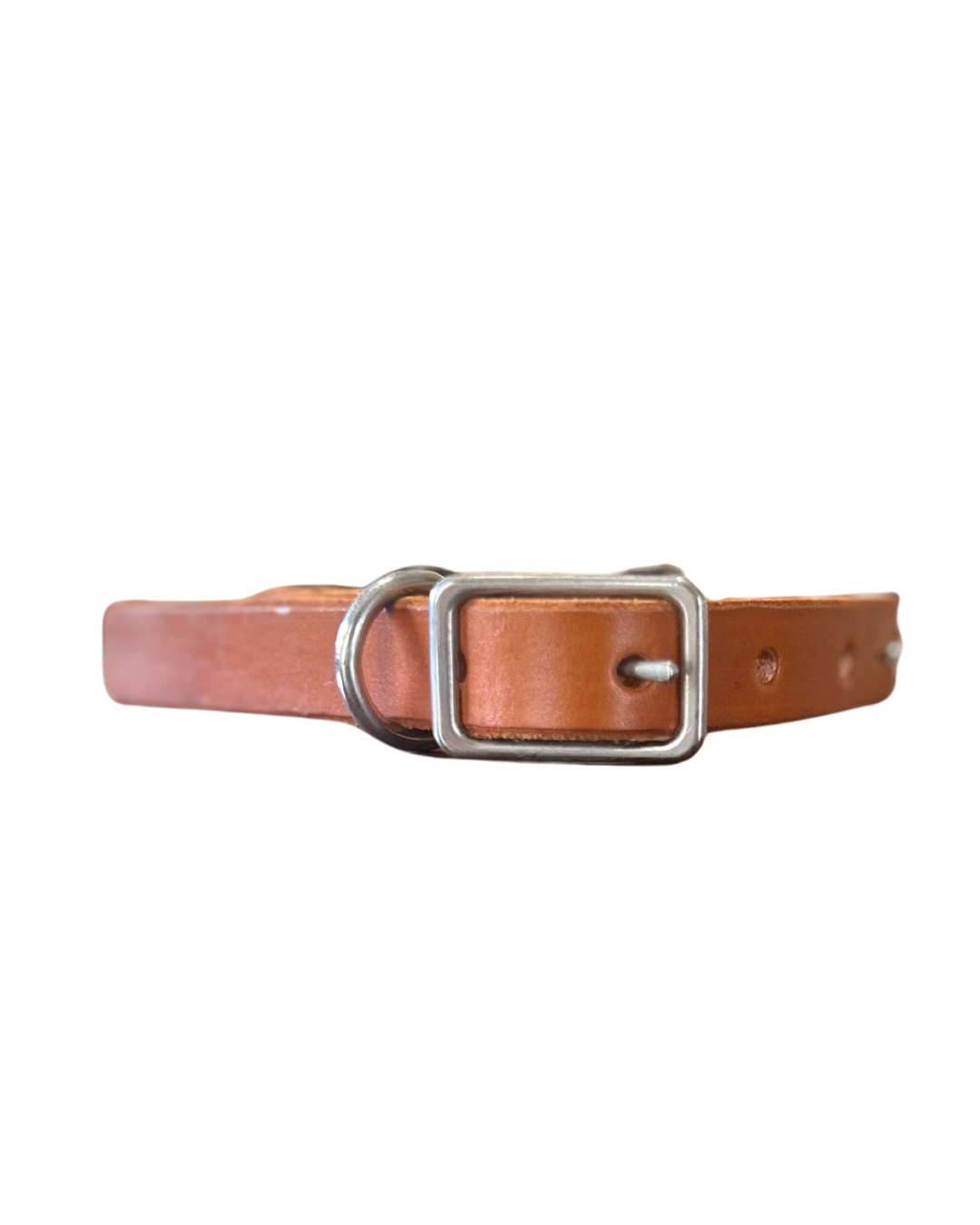 Western Star Dog Collar
