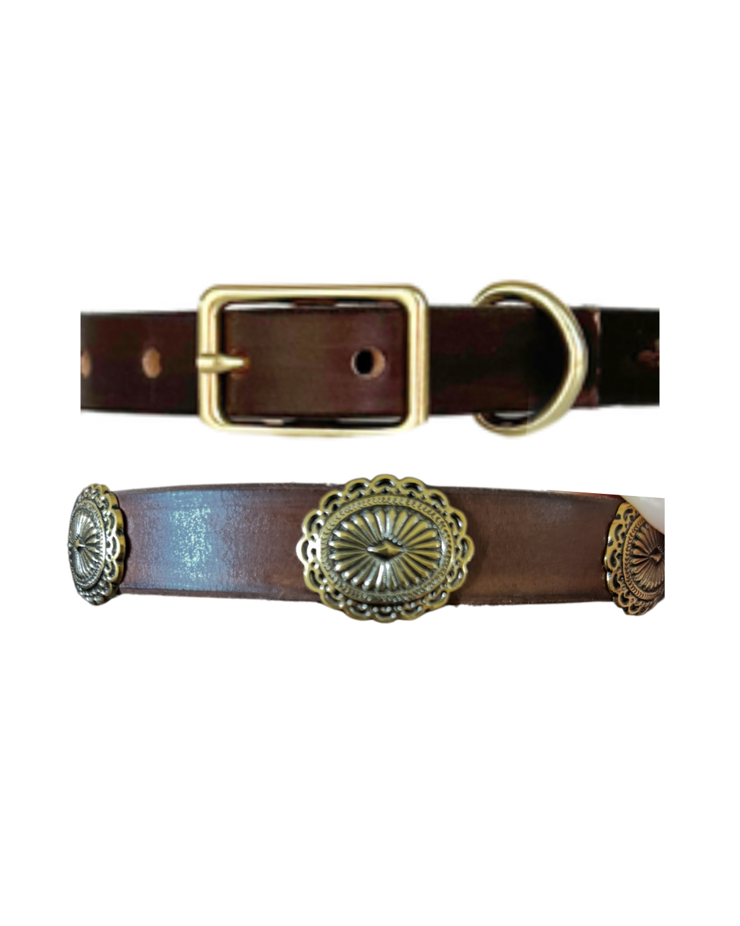 Western Concho Dog Collar