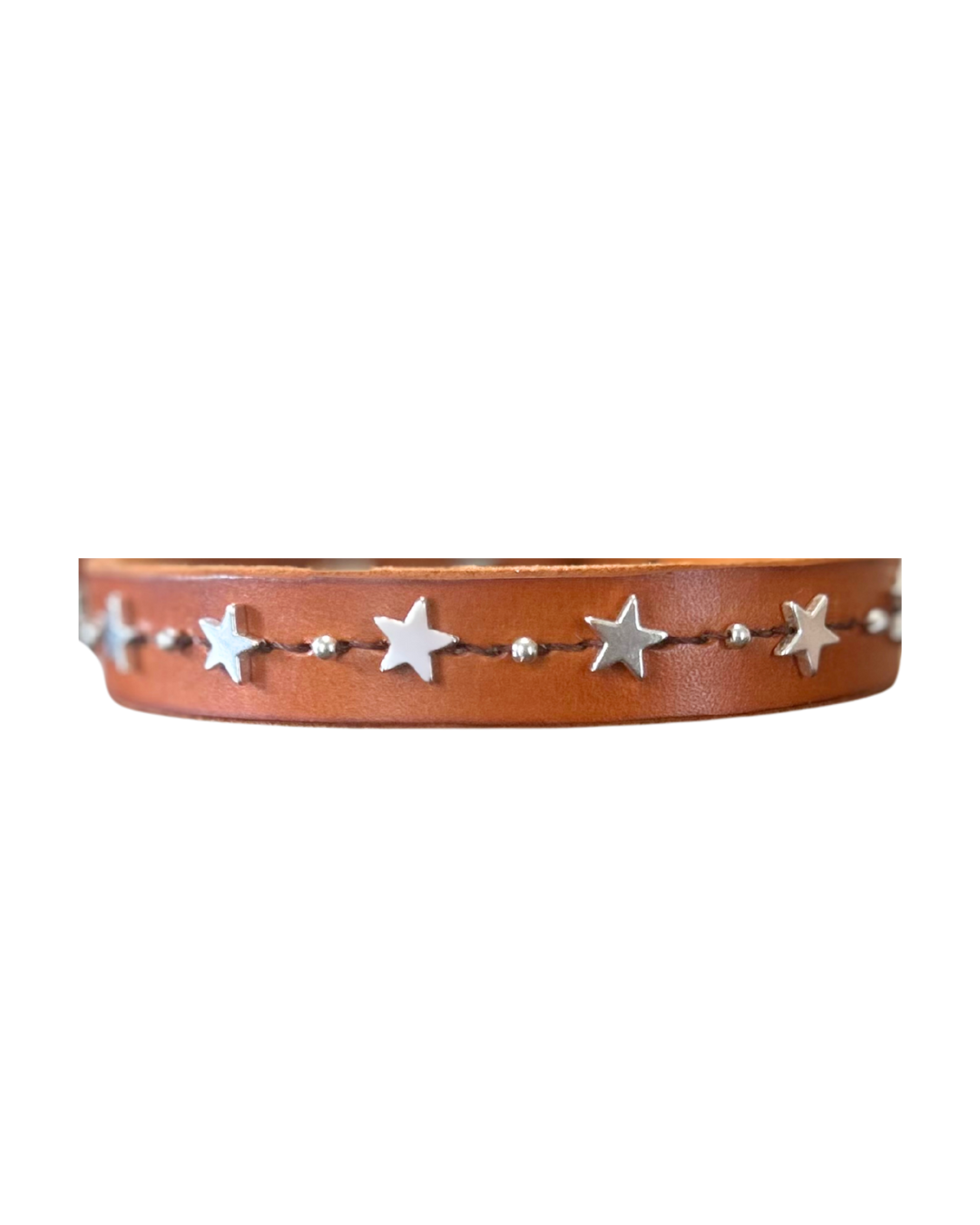 Western Star Dog Collar