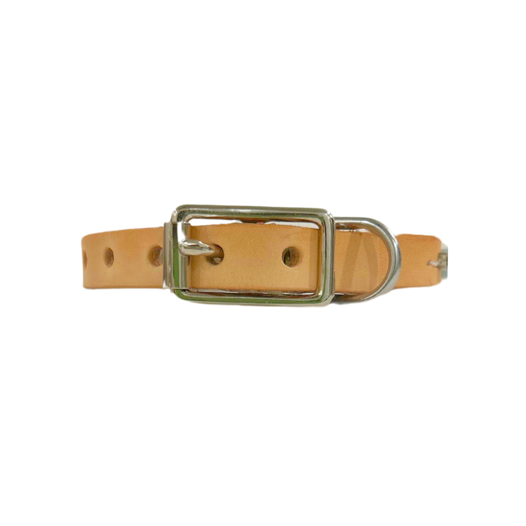 Aquamarine Leather Cat Collar/ XS Dog Collar