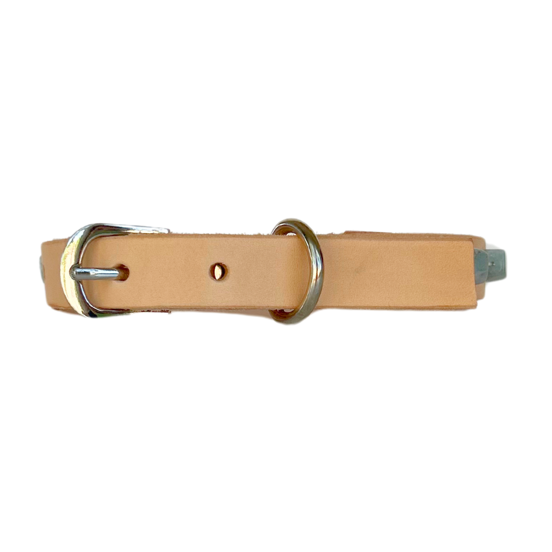 Aquamarine Leather Dog Collar